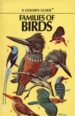 Families Of Birds Golden Guide
