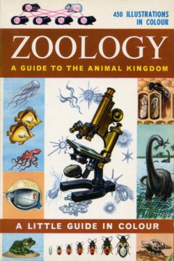 Zoology Little Guide In Colour