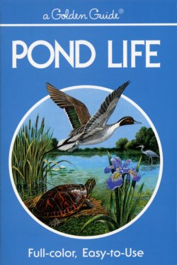 Pond Life Golden Guide