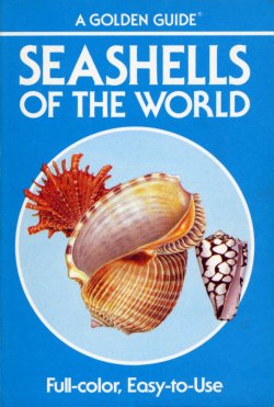 Seashells Golden Guide Seashells Golden Guide
