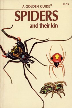 Spiders Golden Guide