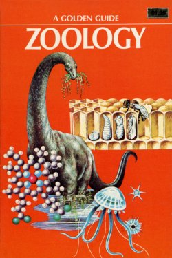 Zoology Golden Guide