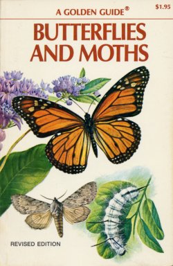 Butterflies and Moths