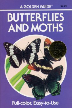 Butterflies and Moths