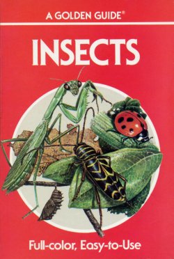 Insects Golden Guide