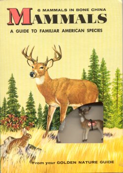 Mammals Bone China Cover