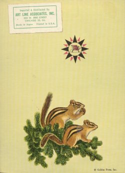 Mammals Bone China Back Cover