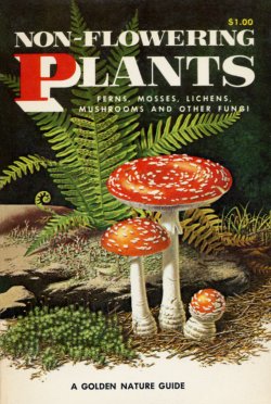 Non-Flowering Plants Golden Guide