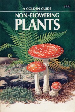 Non-Flowering Plants Golden Guide